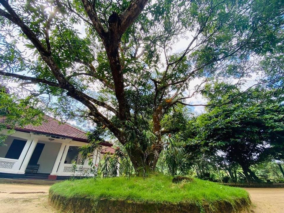 Randiyaepiliyagoda Resort Avissawella Exterior photo